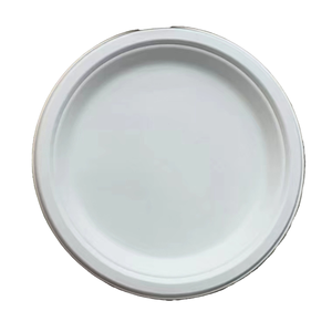 DailySeal 10“ Sugar Cane Round Plate 40pack ZH-P1012