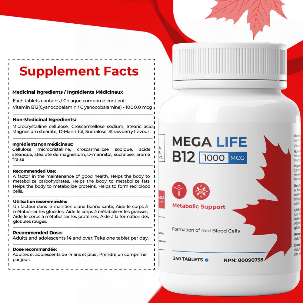 MEGA LIFE B12 1000