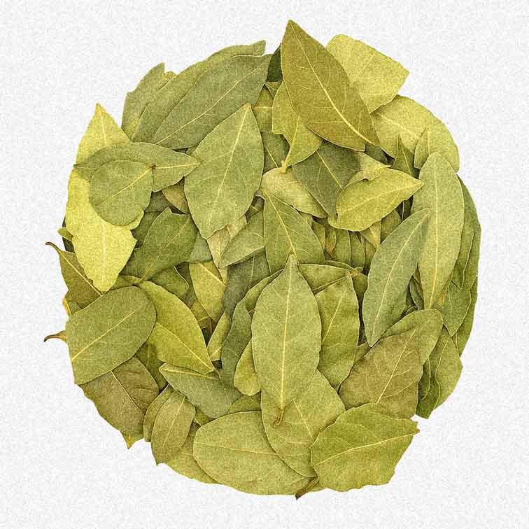 Dried Bay Leaves