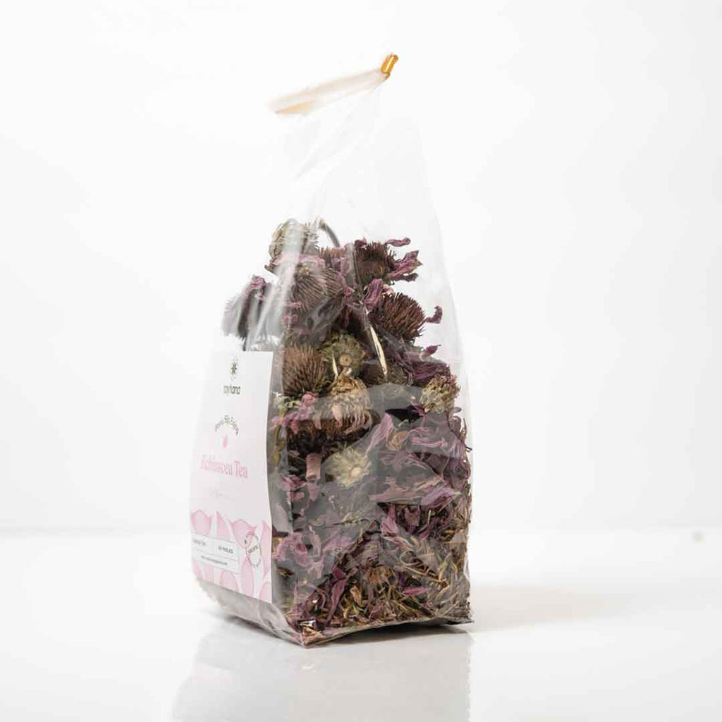 Echinacea Herbal Tea - Coneflower