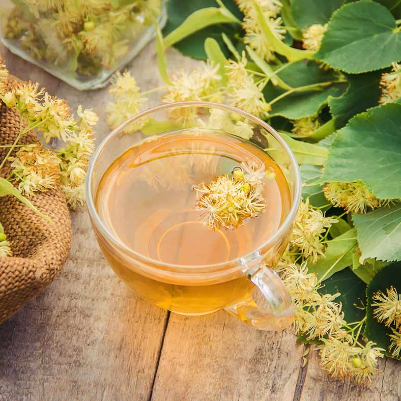 Linden Flower Tea