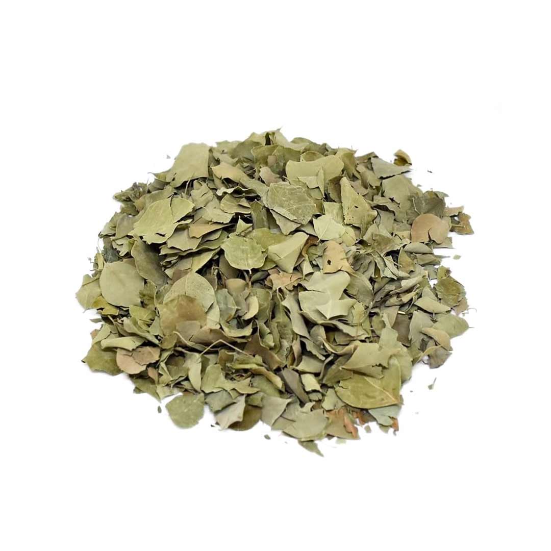 Sidr Leaves – 100% Natural Dried Leaves ورق السدر